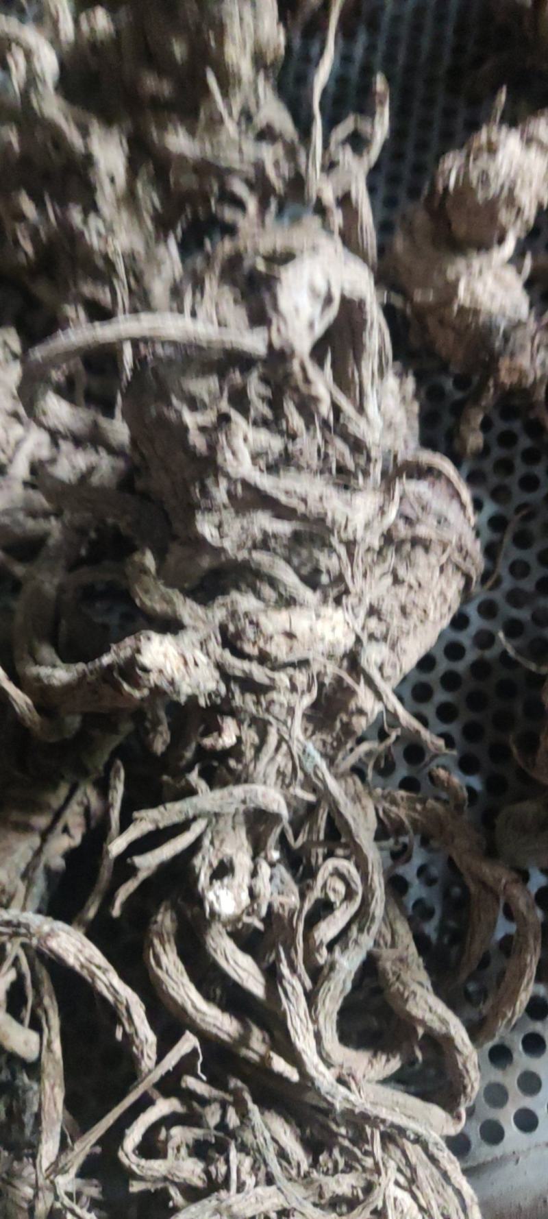 独活