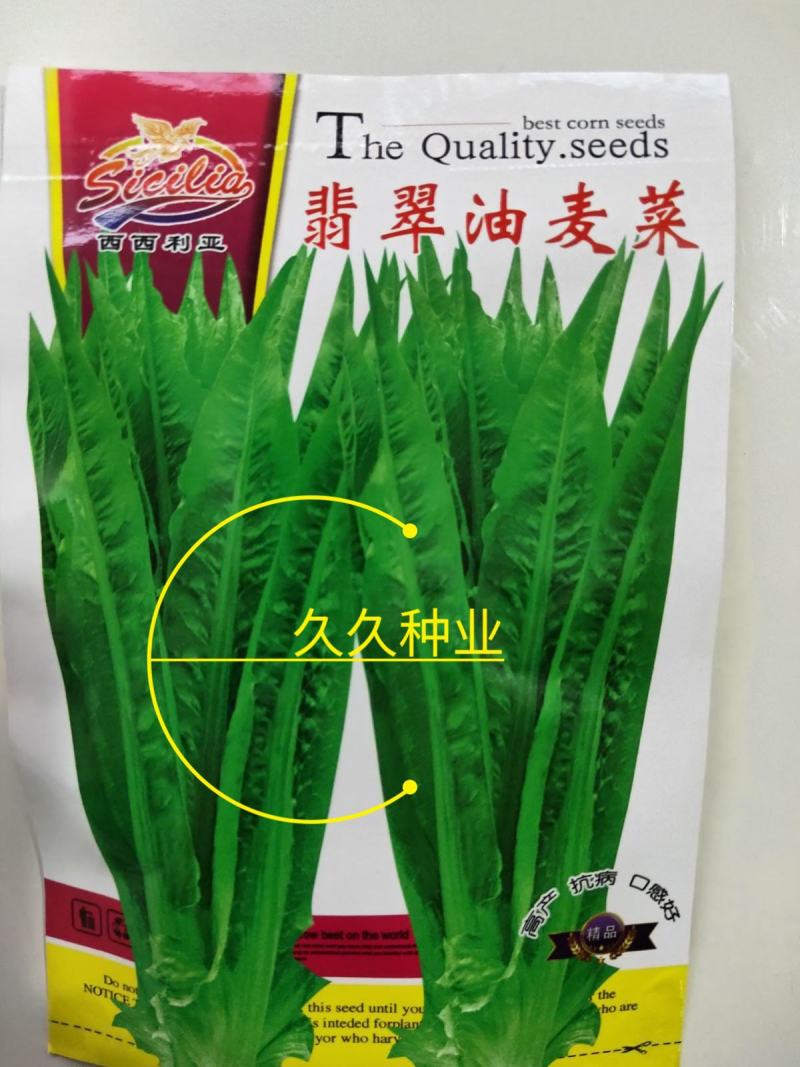 翡翠油麦菜种子油麦菜籽四季播农家盆栽高产南方菜园蔬菜种孑