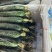 苏州常熟当天现采密刺鲜花新瓜黄瓜基地直发