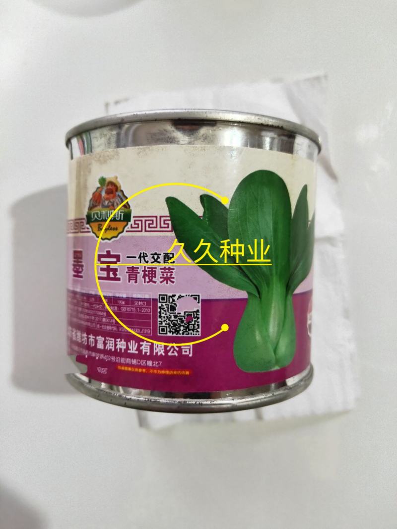 奶油青梗菜种子鸡毛菜小油菜种籽高产耐寒耐热抗病大田蔬菜种