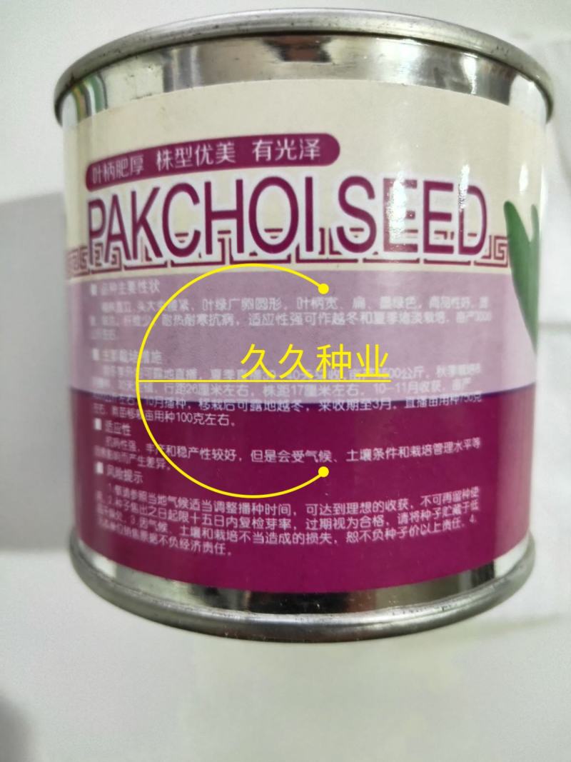 奶油青梗菜种子鸡毛菜小油菜种籽高产耐寒耐热抗病大田蔬菜种