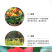 美人蕉种子红艳蕉小花美人蕉花种籽子小芭蕉黄花庭院室外易活
