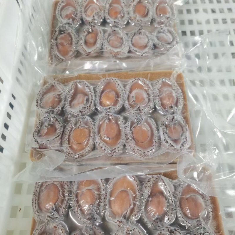 鲍汁鲍鱼酒店餐饮鲍汁鲍鱼加热即食鲍海鲜熟食速