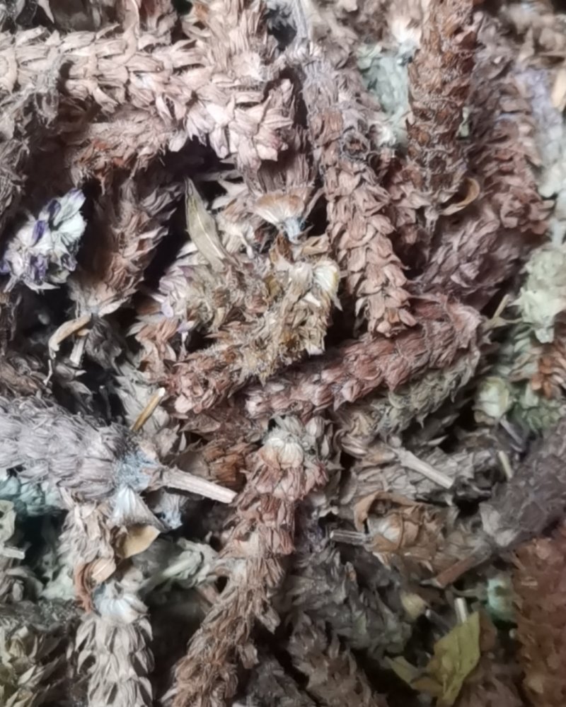 河南确山夏枯草穗产地直销，物美价廉，诚信经营，保质保量！