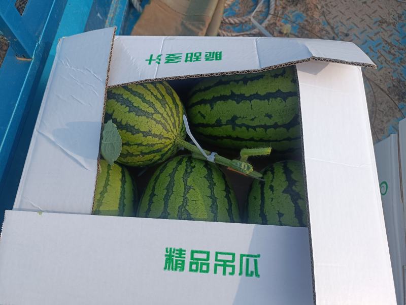 精品2K掉瓜