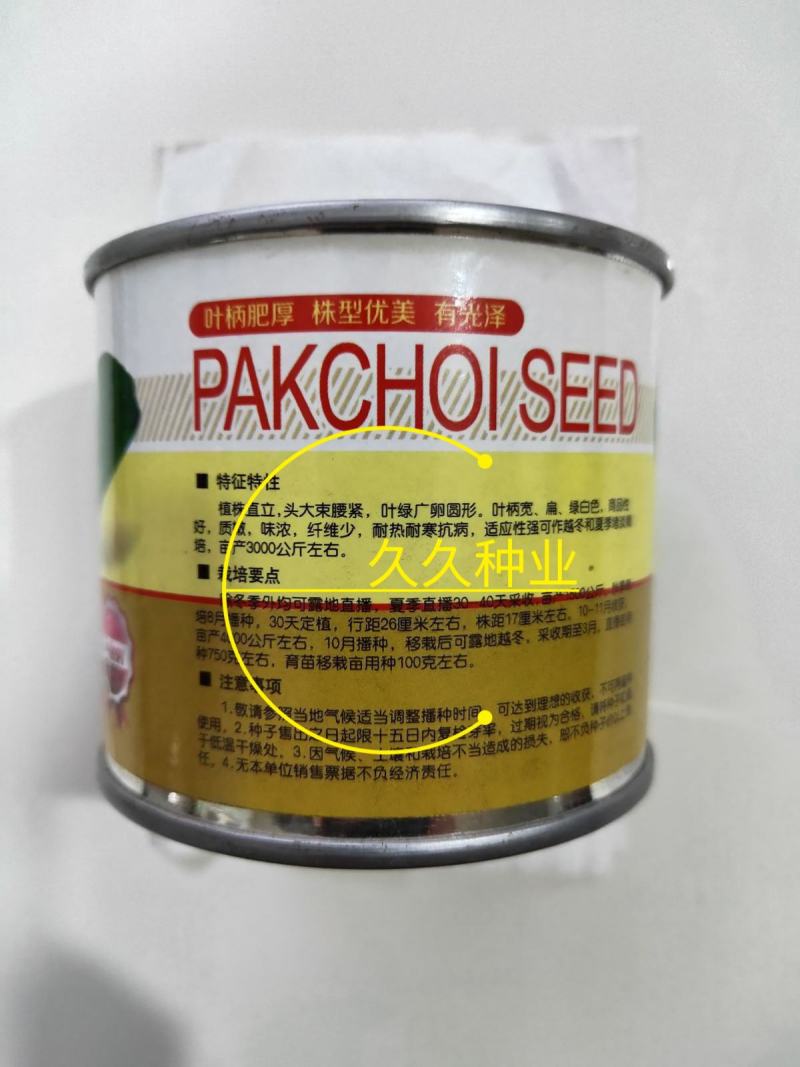 华冠青梗菜种子罐装抗病高产青菜种籽秋季四季播蔬菜孑