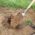洛阳铲取土器考古勘探挖电线杆打桩挖坑山药农用工具铲子挖洞