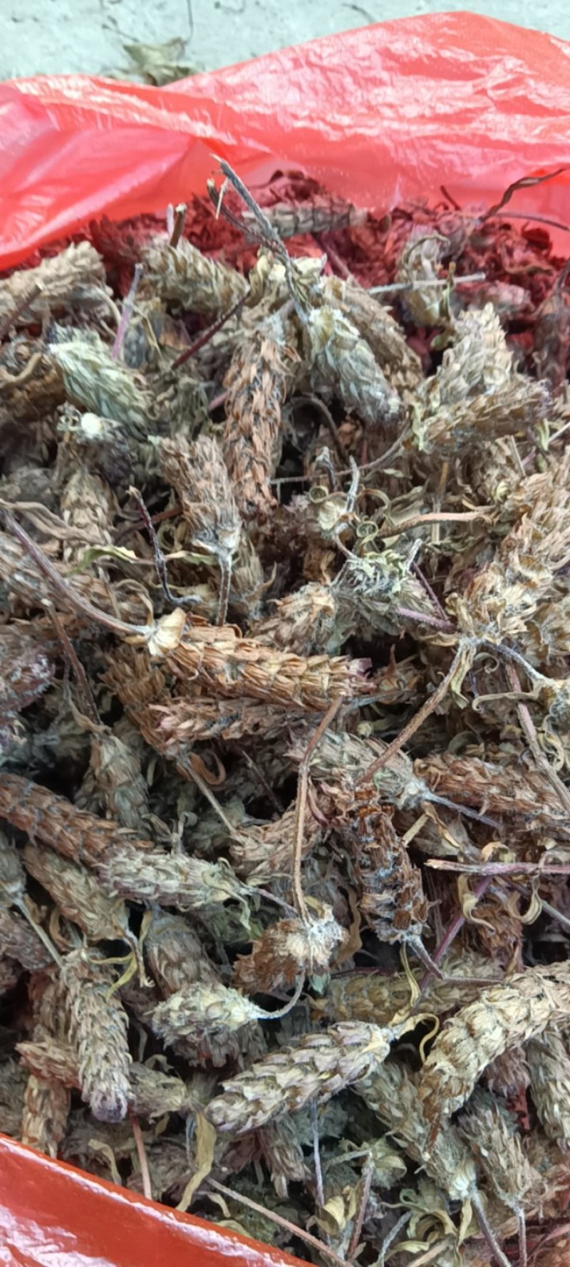 夏枯球今年新货产新纯手工采花一手货源太阳晒干野生药材
