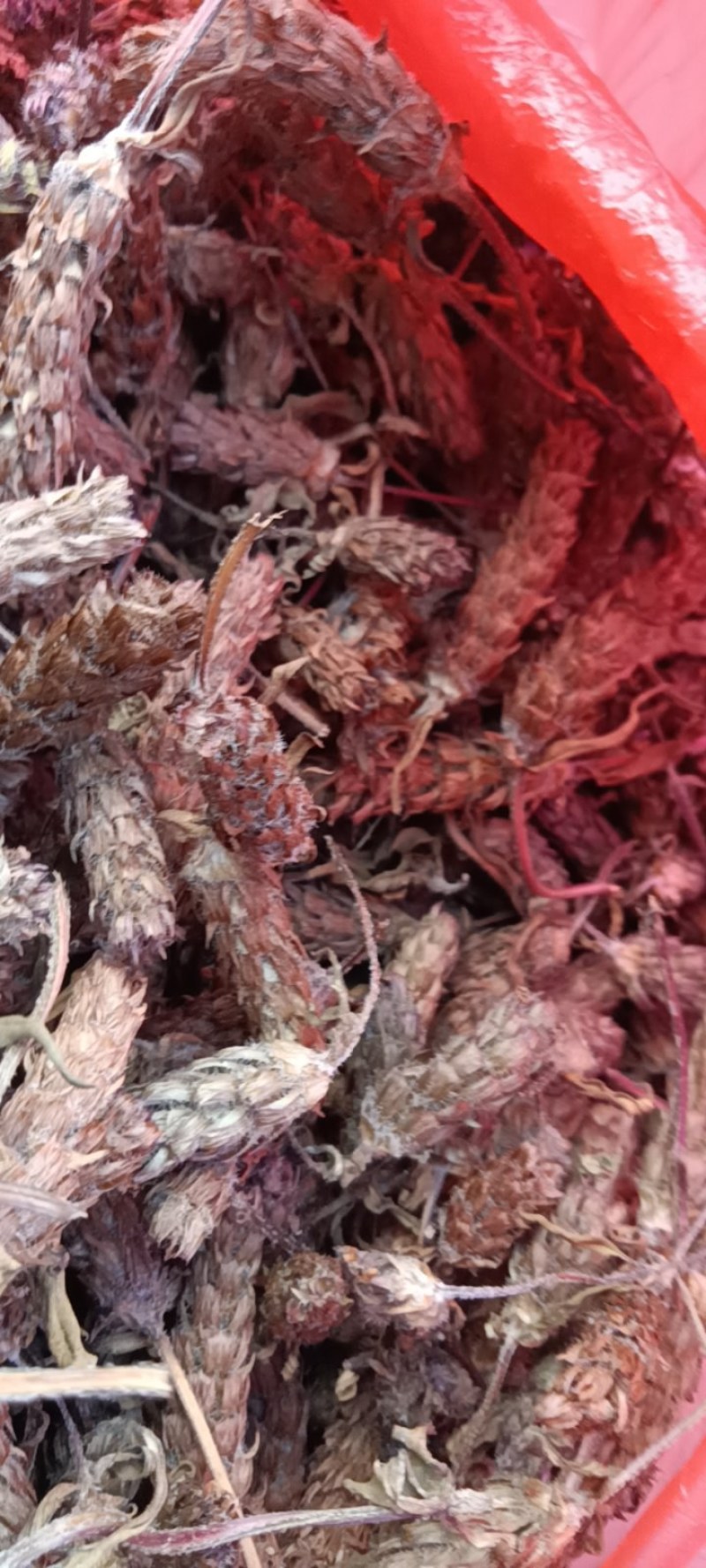 夏枯球今年新货产新纯手工采花一手货源太阳晒干野生药材