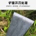 家用挖野菜小铲子挖草药种菜除草挖土菜园花园艺园林用具农用