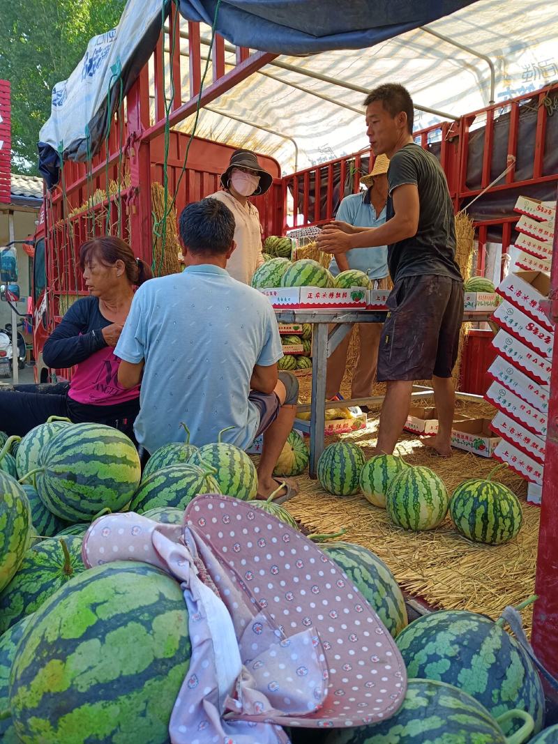 周口市太康县【精品美都西瓜】大量上市，产地直销