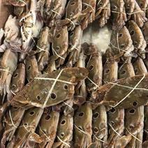 东海梭子蟹三点蟹厂家直供一手货源大型批发商净重7斤