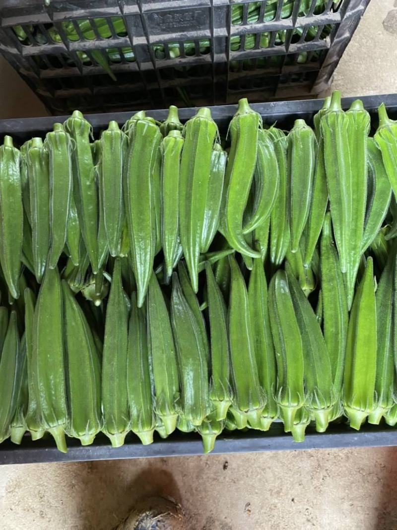 蔬菜水果
