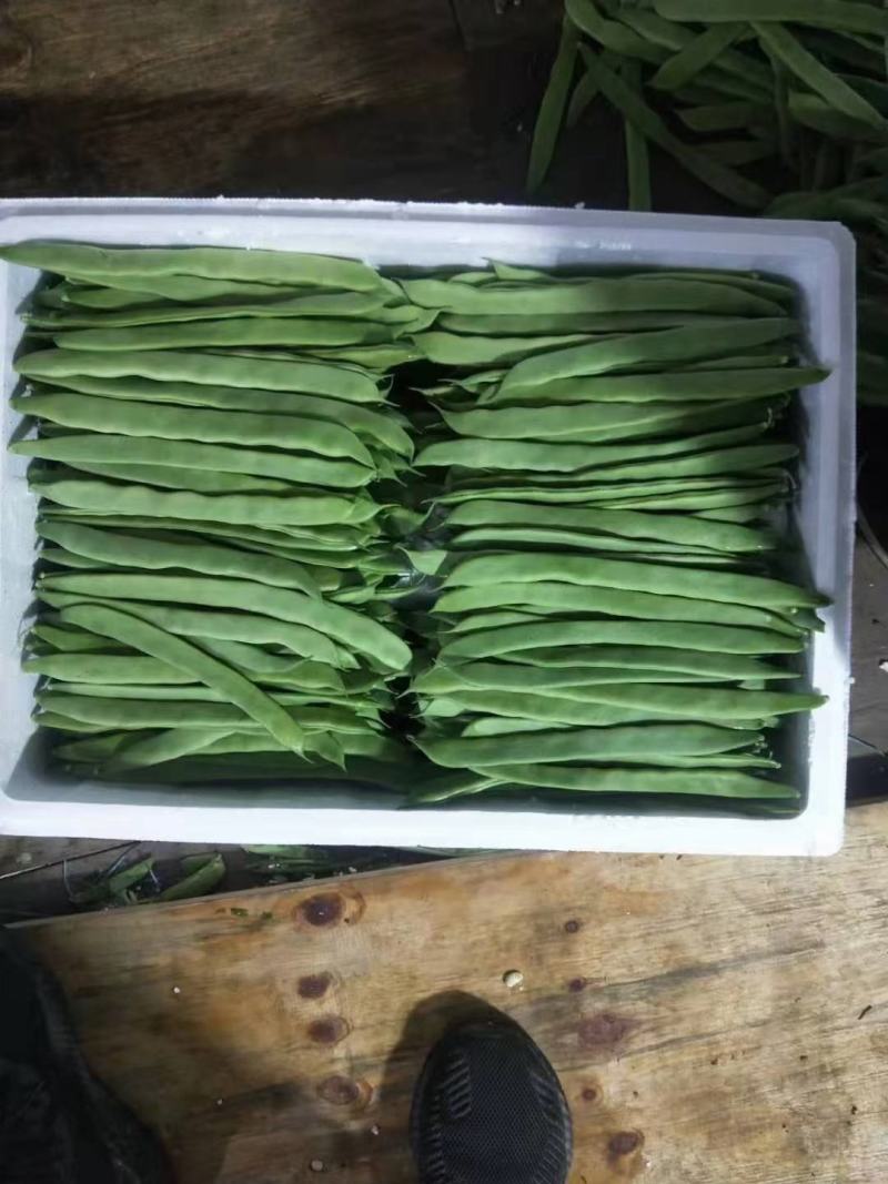 山西应县各种豆角牛角开始上市