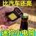 户外强光小手电迷你便携可充电多功能钥匙扣家用野营强磁工作