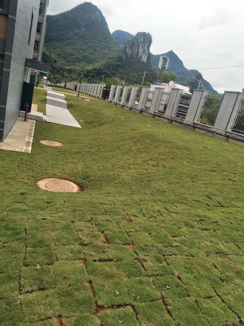 园林绿化