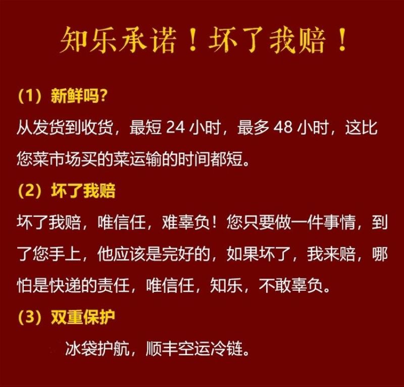 2024年源头松茸批发，产地直供，品质保证