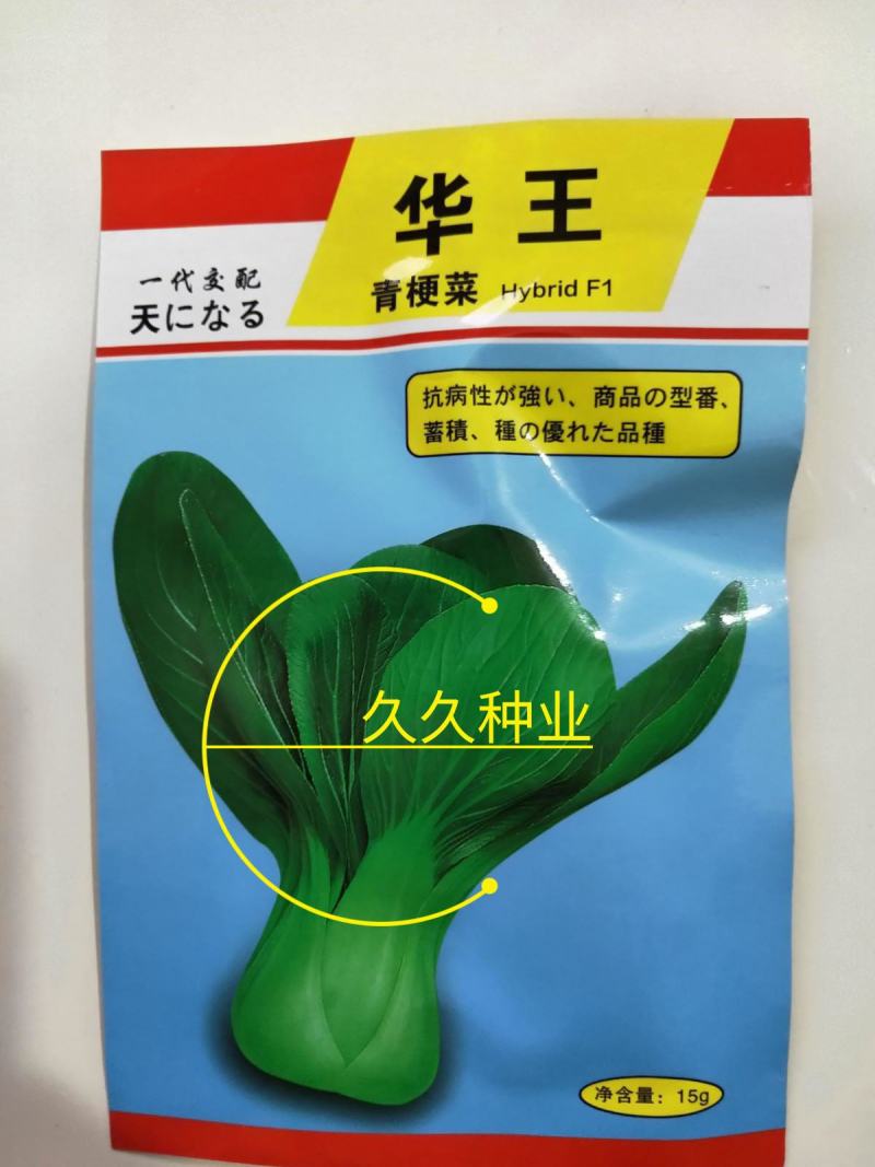 华王青梗菜种子种籽进口杂交青梗菜种子速生鲜绿10g