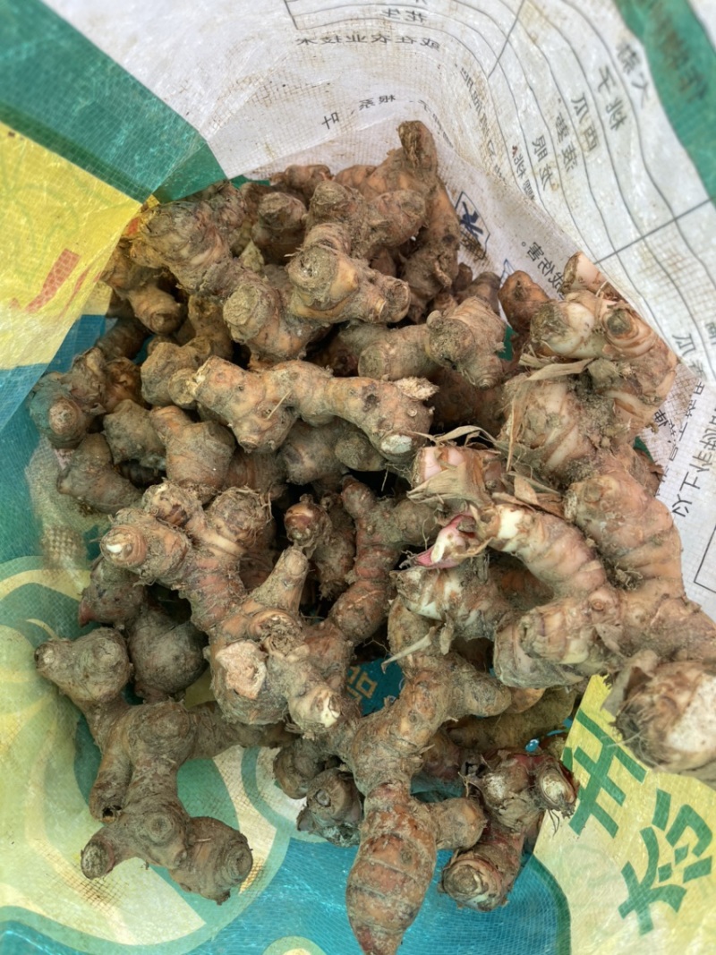 山姜片干货