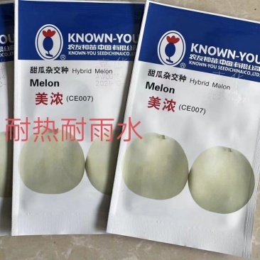 美浓甜瓜种子薄皮甜瓜种子大小整齐皮淡黄白色香味囗感好