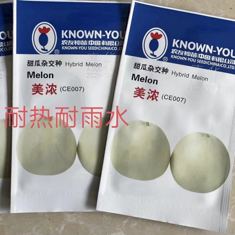 美浓甜瓜种子薄皮甜瓜种子大小整齐皮淡黄白色香味囗感好