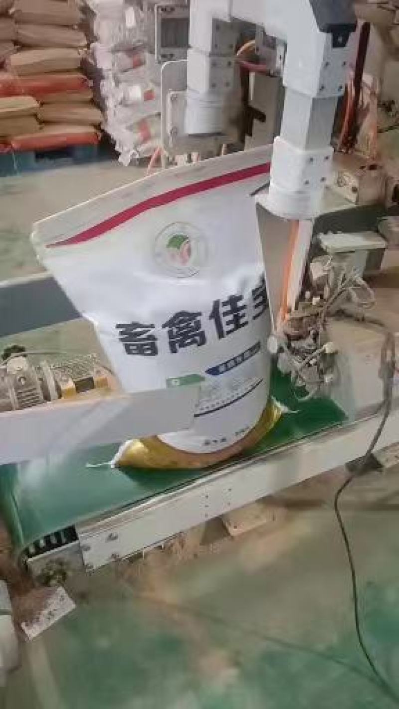 畜禽佳宝蛋鸡专用饲料，营养丰富，提高产蛋率