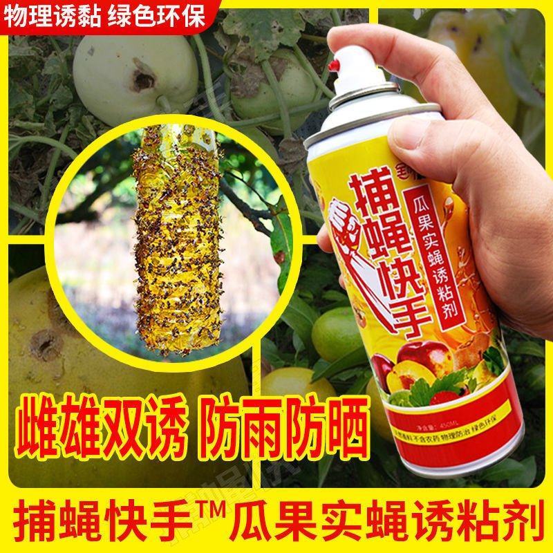 瓜果实蝇诱粘剂针蜂引诱剂果蝇诱捕药果蝇球诱蝇球双面粘虫板