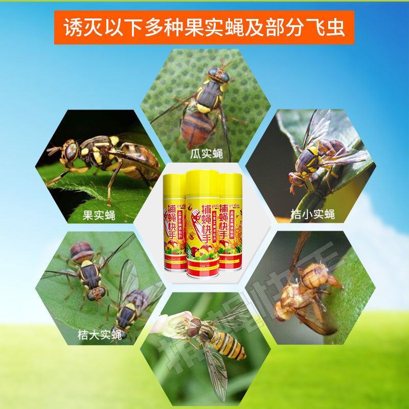 瓜果实蝇诱粘剂针蜂引诱剂果蝇诱捕药果蝇球诱蝇球双面粘虫板