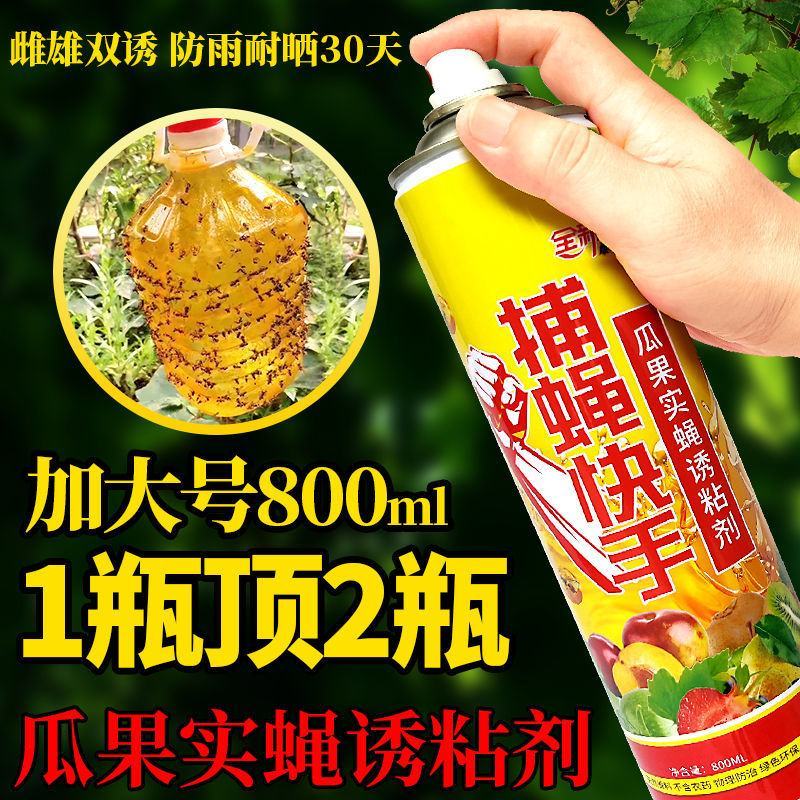 瓜果实蝇诱粘剂针蜂引诱剂果蝇诱捕药果蝇球诱蝇球双面粘虫板