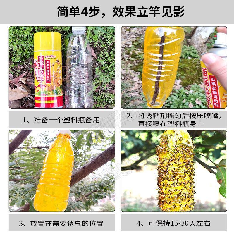 瓜果实蝇诱粘剂针蜂引诱剂果蝇诱捕药果蝇球诱蝇球双面粘虫板
