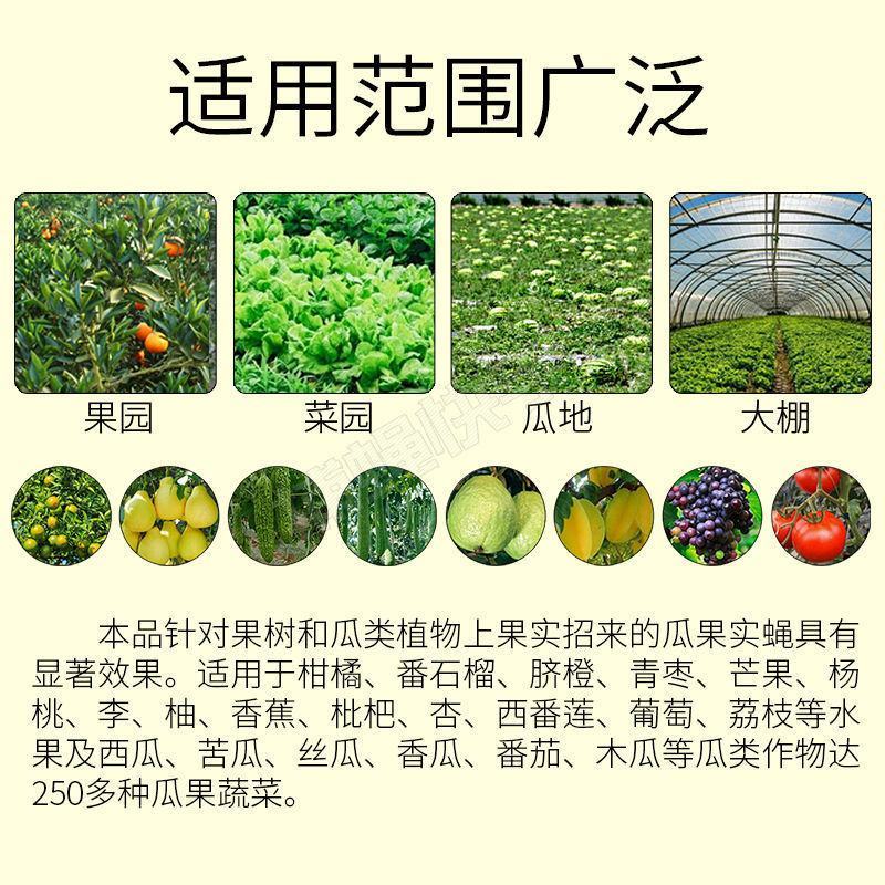 瓜果实蝇诱粘剂针蜂引诱剂果蝇诱捕药果蝇球诱蝇球双面粘虫板