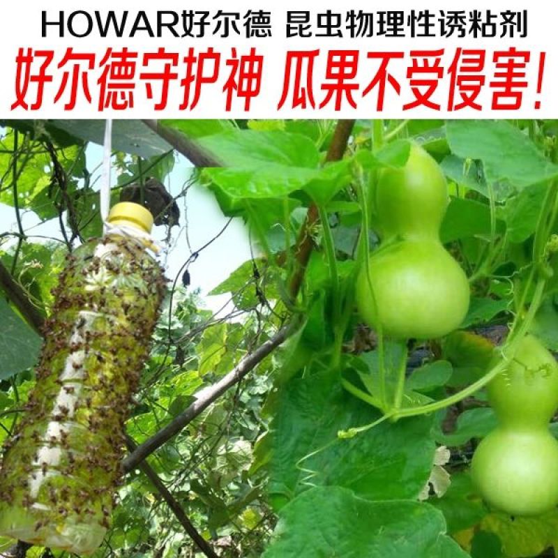 瓜果实蝇针蜂诱粘剂果树诱捕剂昆虫针蜂药喷雾杀虫喷雾果蝇诱