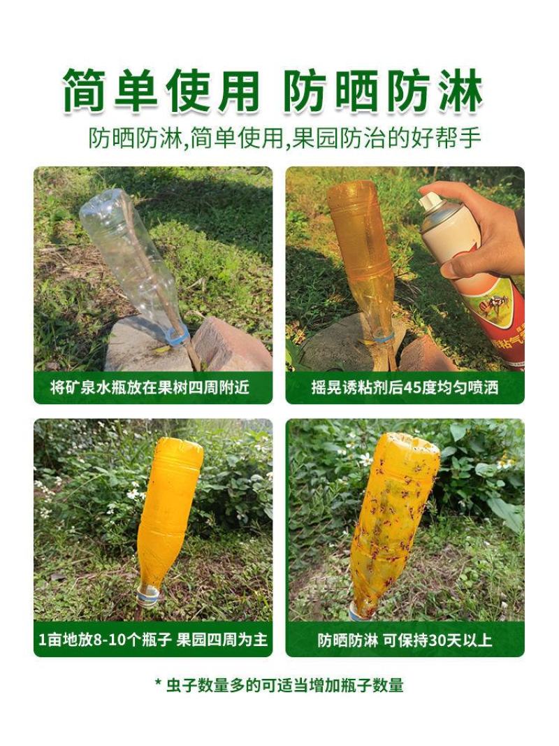 瓜果实蝇针蜂诱粘剂果树诱捕剂昆虫针蜂药喷雾杀虫喷雾果蝇诱