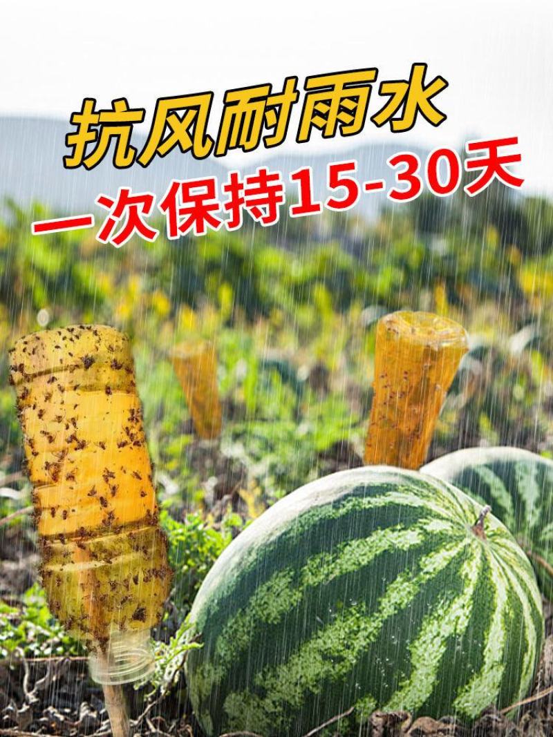 瓜果实蝇针蜂诱粘剂果树诱捕剂昆虫针蜂药喷雾杀虫喷雾果蝇诱