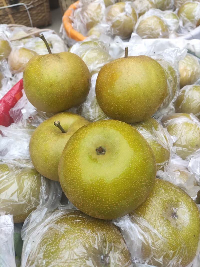 梨，皮薄肉多，细沙，小核，，，，，，，，