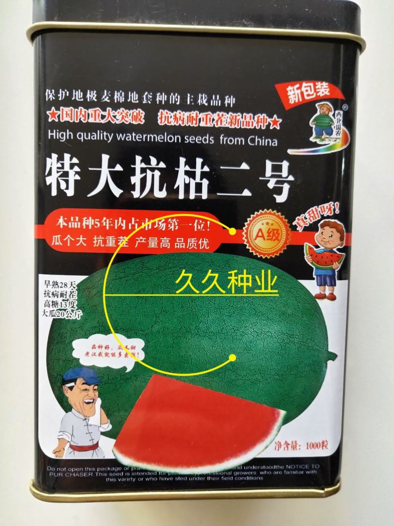 特大抗枯二号西瓜籽西瓜种子大棚种植早熟抗病耐四季蔬菜种孑