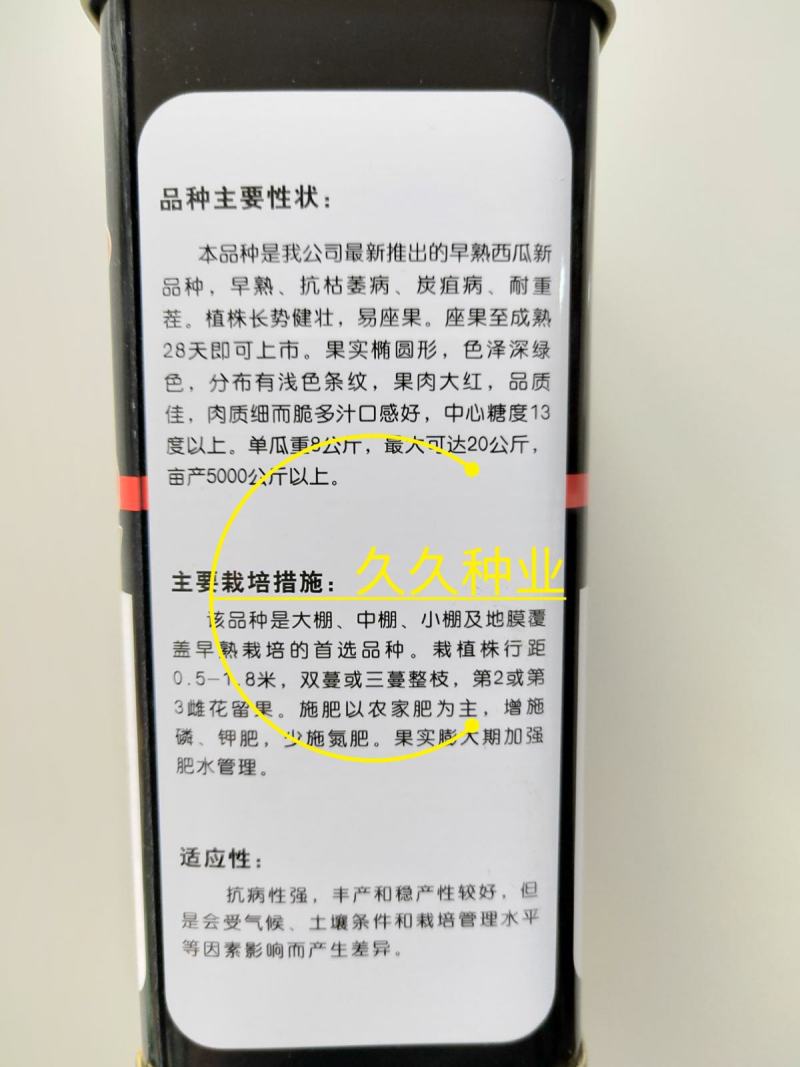 特大抗枯二号西瓜籽西瓜种子大棚种植早熟抗病耐四季蔬菜种孑