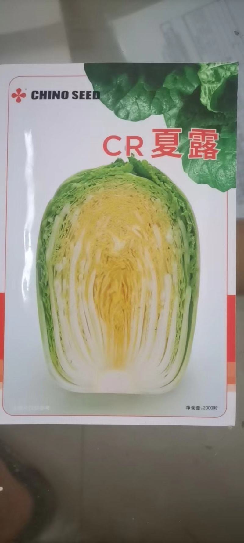 青诚夏宝白菜种子抗病耐热耐湿囗感好亩产6000公斤短圆筒