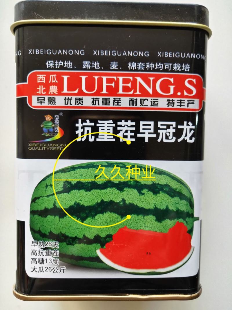 抗重茬早冠龙西瓜种子耐重茬西瓜种早熟甜冠巨型懒汉西瓜种籽