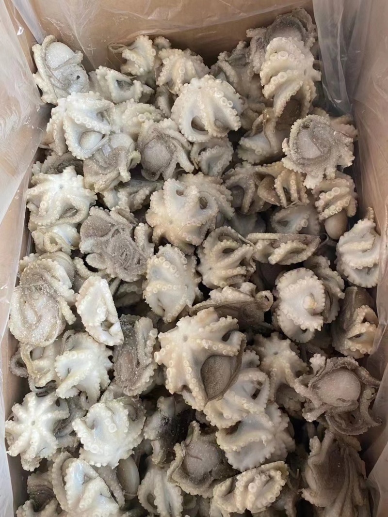 盐磨小八爪，原浆短腿八爪加工，成熟工厂。品质保证。