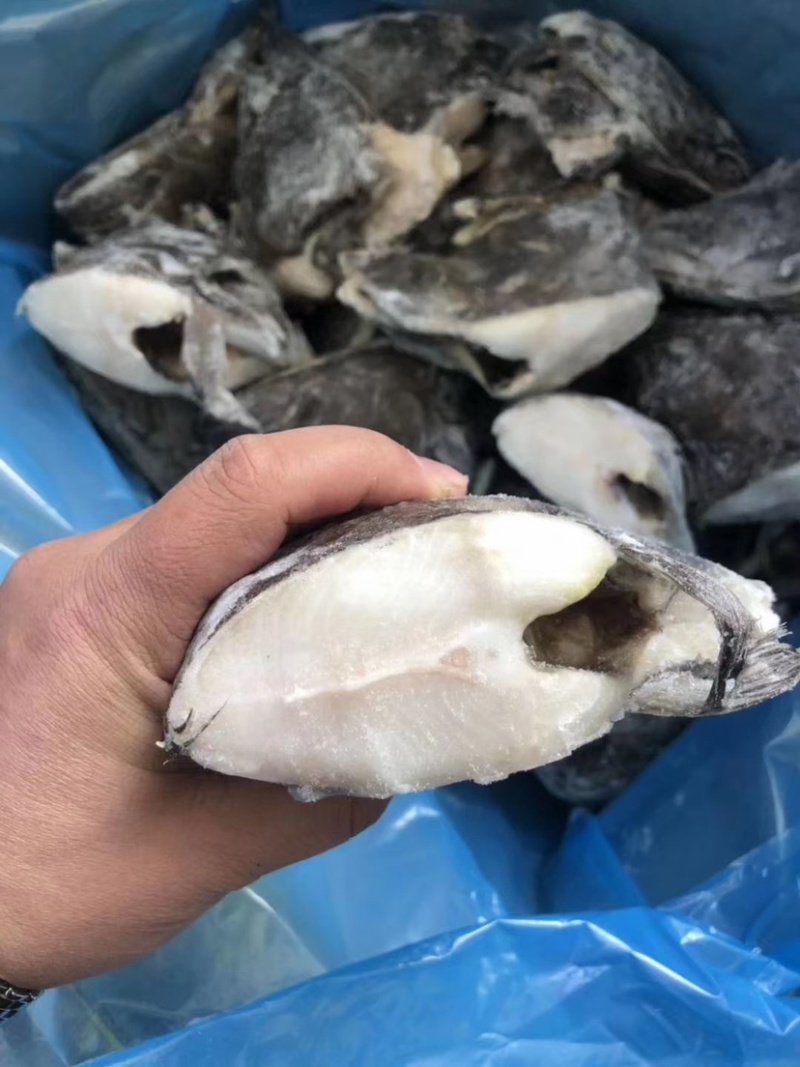 【全规格】鲽鱼头，比目鱼鱼头。格陵兰鱼头量大从优