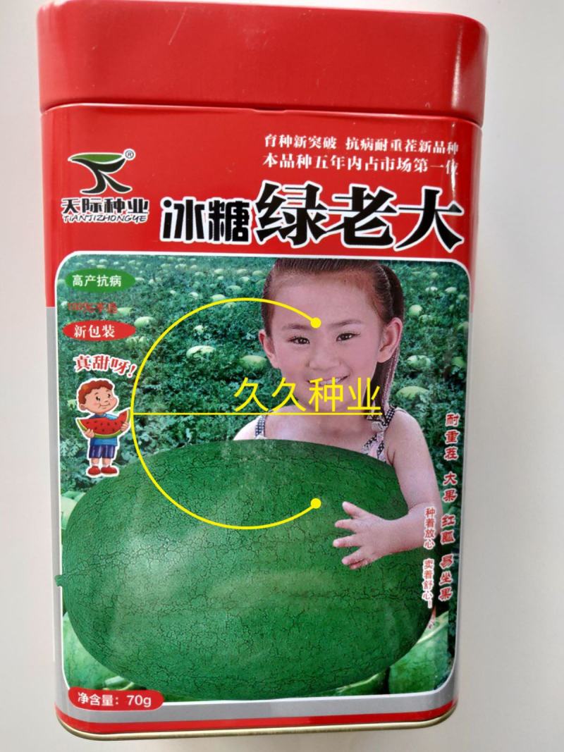 天际种业冰糖绿老大70g西瓜种子大果红果易坐果种籽