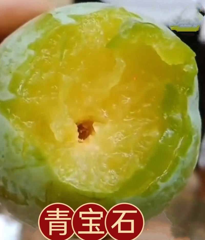 【九峰山黄金奈李】光照足[太阳]温差大，深山种植，无污