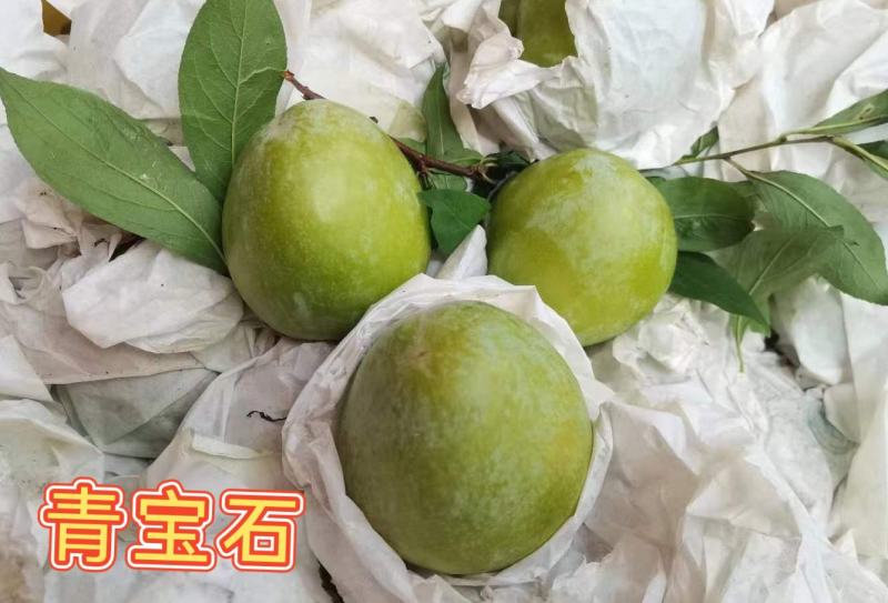【九峰山黄金奈李】光照足[太阳]温差大，深山种植，无污