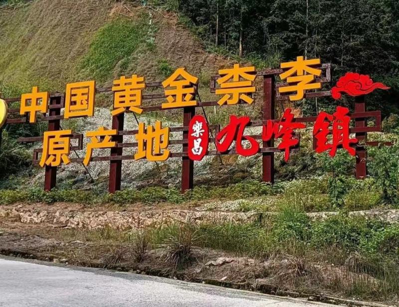 【九峰山黄金奈李】光照足[太阳]温差大，深山种植，无污