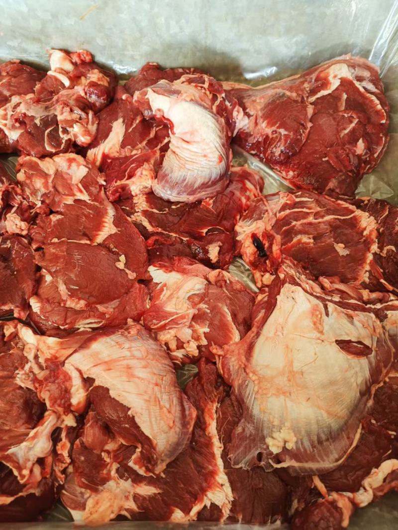 内蒙古草地黄牛头大脸肉，一块二三斤左右，干货。