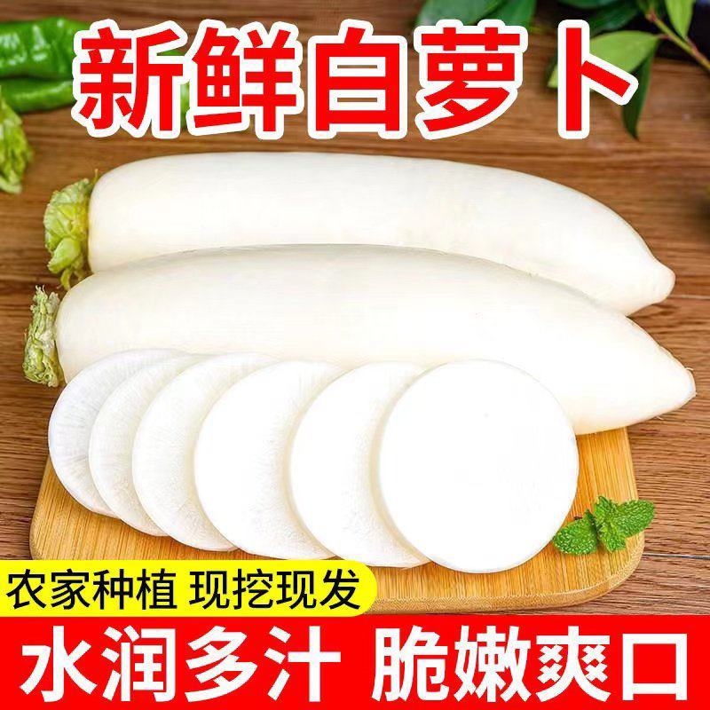 白萝卜萝卜湖北白萝卜量大从优看货论价支持发货