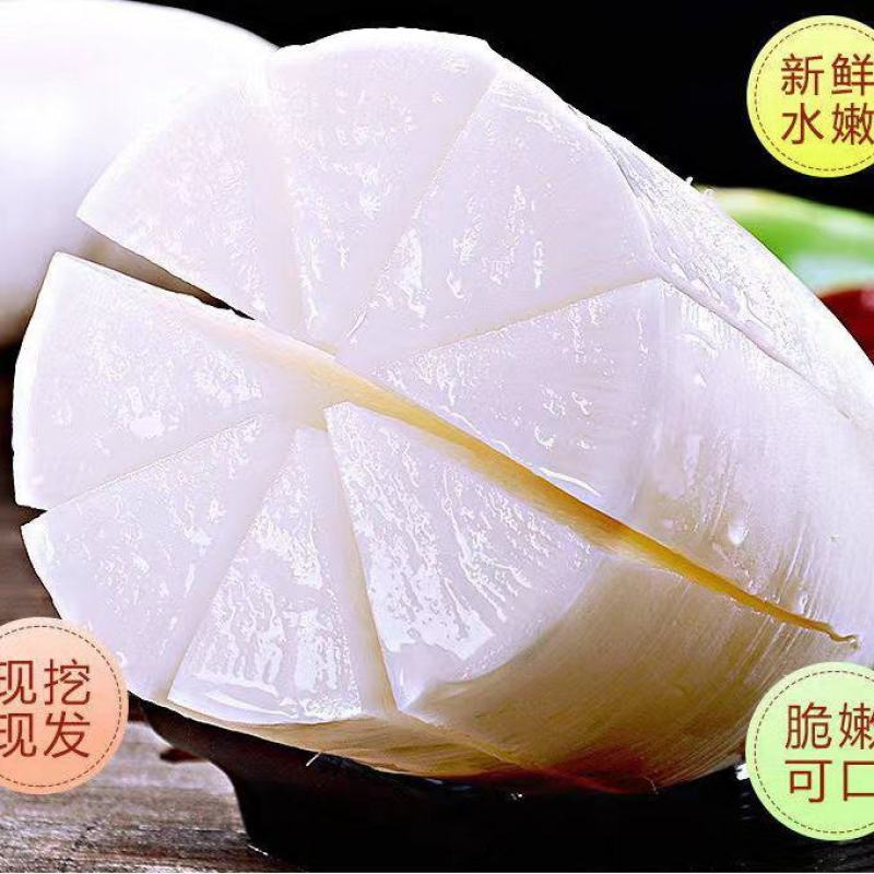 白萝卜萝卜湖北白萝卜量大从优看货论价支持发货
