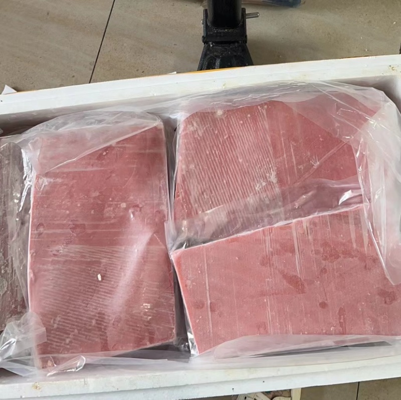 蓝旗金枪鱼