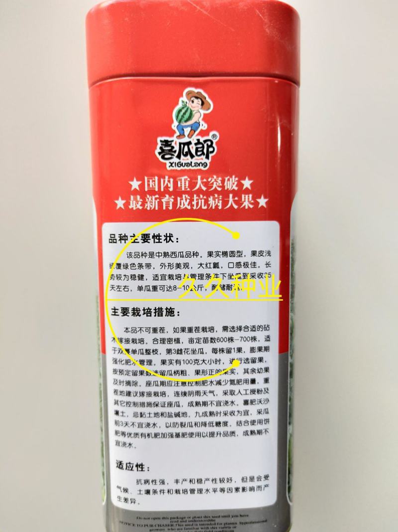 西瓜郎沙漠王金砂五号80g西瓜种子水果种籽糖度高口感佳